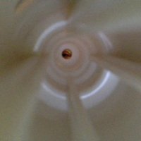 Mike O. Karl (@mokarl) 's Twitter Profile