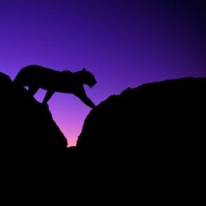 MinnesotaGammas's profile picture. 5 Principles. 3 Letters. 1 Sisterhood. Hermanas Por Vida. Sisters For Life. #SigmaLambdaGamma #1990 #WomenofDistinction