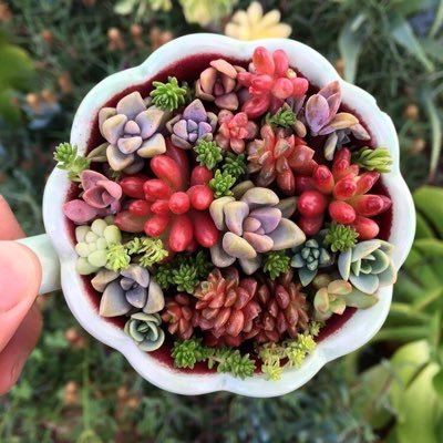 freshstartmx's profile picture. 