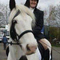 Clair MacKinnon ๐๐๐ฆ (@cloggymack) 's Twitter Profile