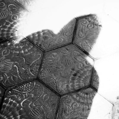 Judith_CE's profile picture. 