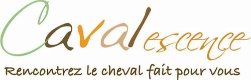 Rencontrez le cheval fait pour vous