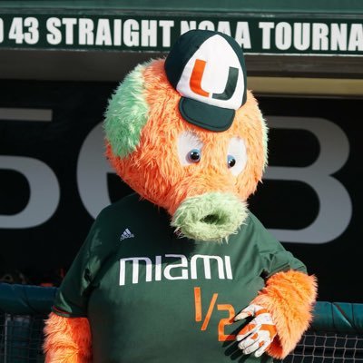 Official Twitter account of the best mascot in all of college baseball and @CanesBaseball’s biggest fan. See You At The Light!