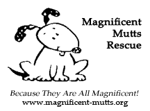 magmutts's profile picture. Magnificent Mutts is a group of volunteers dedicated to finding loving homes for the homeless, abandoned, and abused animals of our community.