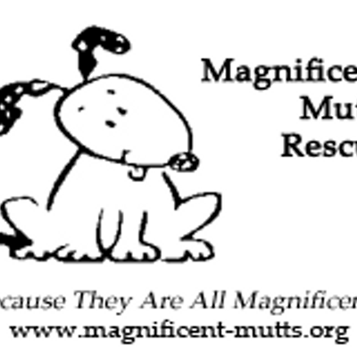 magnificent mutts magmutts twitter