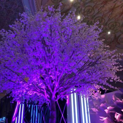 gmail3431's profile picture. الإعلاميّون الأخبار