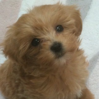 nao_k0321's profile picture. 趣味＆好きなもの:映画、宇宙、クルマ