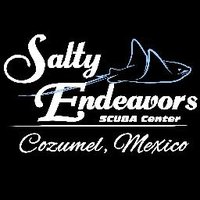 Salty Endeavors(@Salty_Endeavors) 's Twitter Profile Photo