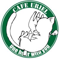 保護猫cafe ウリエル (@uriel0707uriel) 's Twitter Profile Photo