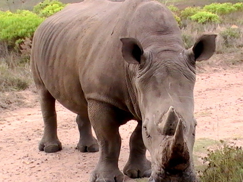 Evolutiontours's profile picture. Guided Customized Tours of South Africa