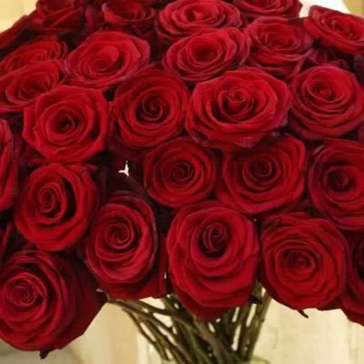 ksasaudi20030's profile picture. المال والأعمال