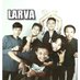 LARVA (@larva_official) Twitter profile photo LARVA (@larva_official) Twitter profile photo