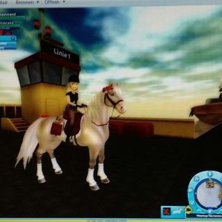 petz horse club how to get adonis petz horse club how to get adonis