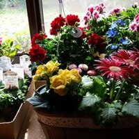 パブロのスペイン語教室 (@pablodetokyo) Twitter profile photo