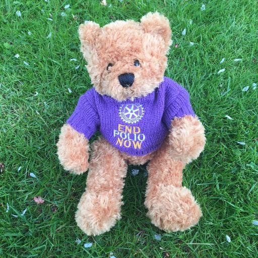 I am the Rotary Polio Bear. Follow me on my travels and find out more about Rotary's commitment to polio eradication. #Purple4Polio