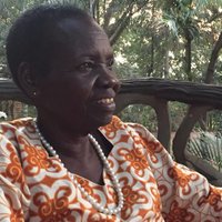 Village Birth Intl (@villagebirthint) 's Twitter Profile