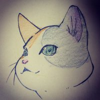 ＠たつた (@shin_ttt) 's Twitter Profile Photo