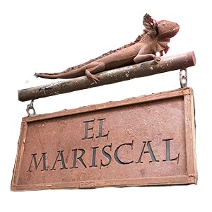 Un lugar para compartir. Un espacio que nos brinda una oportunidad
Actividades artísticas para todas las edades: pintura, tango, guitarra, bandoneón... y más!