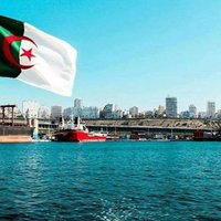 وليد معمري (@aminwalidjma) Twitter profile photo