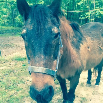 hannah480000's profile picture. 