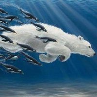 vedmezha brunatne (@vedmezha) 's Twitter Profile Photo