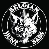 Belgian Hunt Sabs (@belgianhuntsabs) 's Twitter Profile