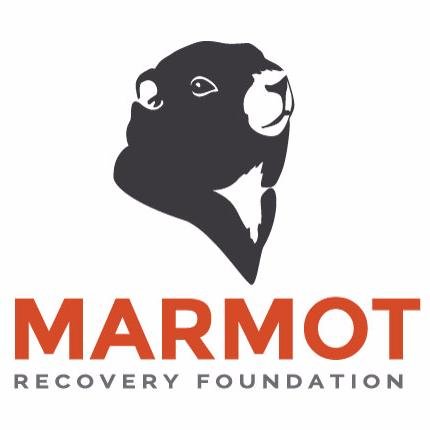 MarmotRecovery Profile Picture