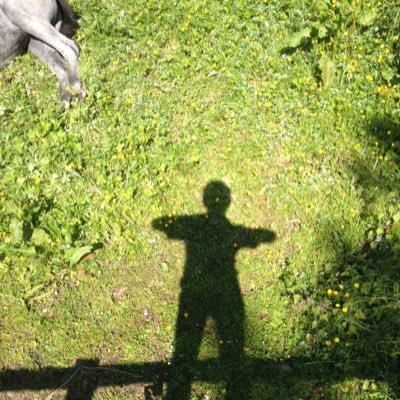 ConallJEvans's profile picture. music, basketball, sailing