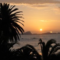 Botany Palm Margate (@botanypalm) 's Twitter Profile