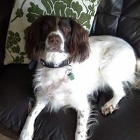 Jacky Williams (@jackywilliams28) 's Twitter Profile