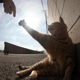 bfam_1988's profile picture. 