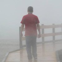 Dream Like Will (@dreamlikewill) 's Twitter Profile