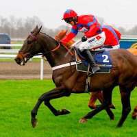 TheWinnersEnclosure (@arronshorsetips) 's Twitter Profile
