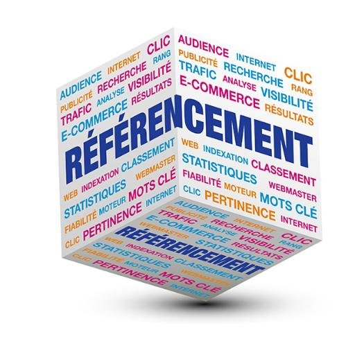 DingueTrafic's profile picture. Web master spécialisée en référencement