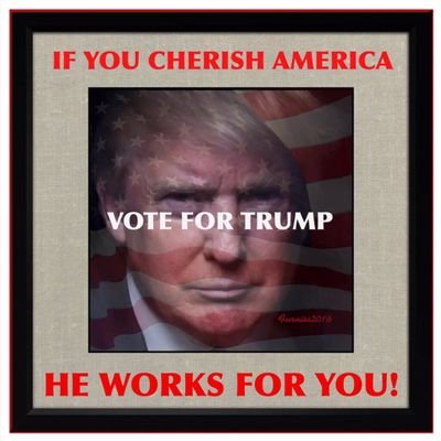 Vote for Trump. Make America great again. MAKE THE USA SAFE AGAIN !!!
