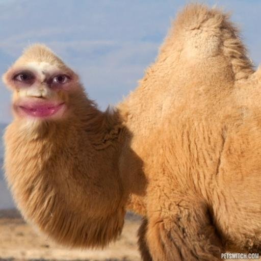 musiclover9451's profile picture. 