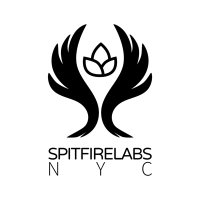 SpitfireLabs(@SpitFire_Labs) 's Twitter Profile Photo