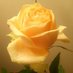 Rosario (@rosariocb2) Twitter profile photo Rosario (@rosariocb2) Twitter profile photo