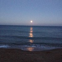 HaagMC (@haagmary) 's Twitter Profile Photo HaagMC (@haagmary) 's Twitter Profile Photo