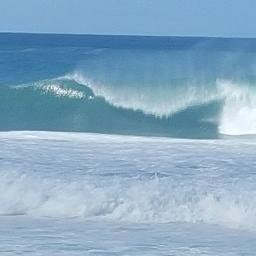 hanksc12's profile picture. 