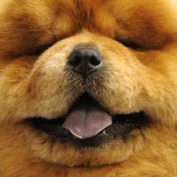 Satoshi YAMASHITAさんのプロフィール画像