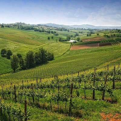 @AutoctonRomagna