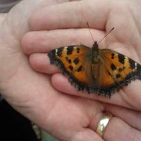 FeileacainFundraiser (@feileacainfund) 's Twitter Profile Photo