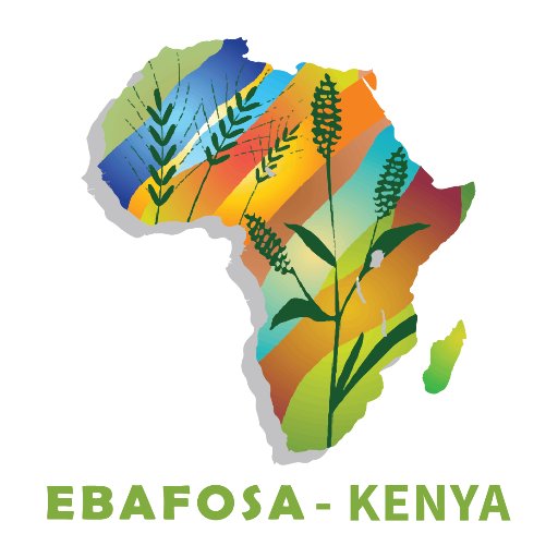 EBAFOSAKenya's profile picture. Upscaling Ecosystem Based Adaptation (EBA)- driven agriculture & its value chains.