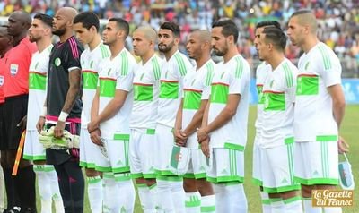 bachir31461217's profile picture. 