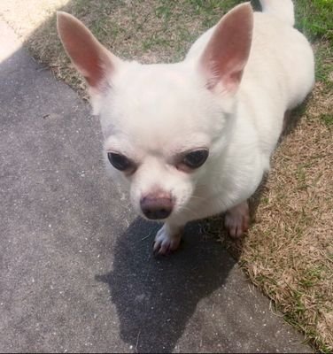 homeworks13's profile picture. 