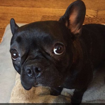 akeslowitz's profile picture. 