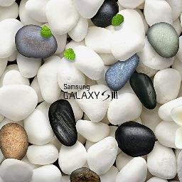 rahman13571's profile picture. 