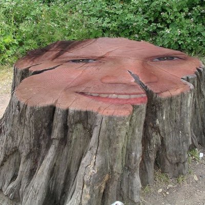 hannahleveque11's profile picture. I spelt my last name wrong in my user it's Hannah Levesque