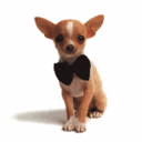 Jeff Emery - @jwemery - Twitter